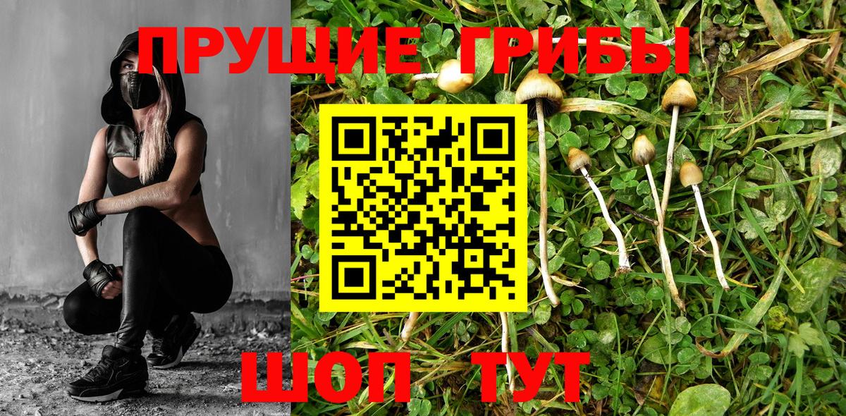 Псков  Псилоцибиновые грибы Magic Shrooms  Вход с VPN 
